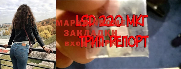 индика Балабаново