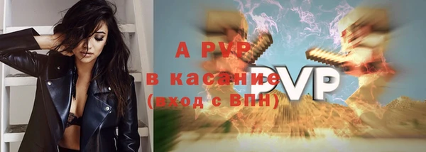индика Балабаново