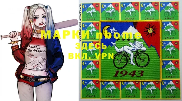 индика Балабаново