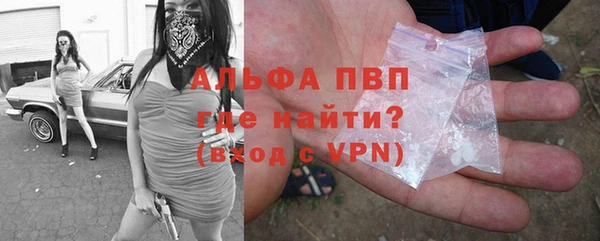 индика Балабаново