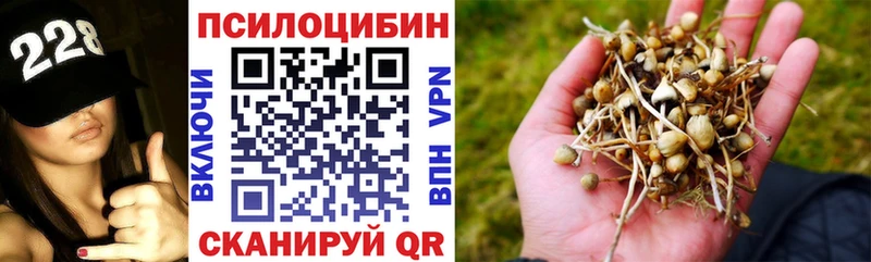 как найти закладки  Пересвет  Галлюциногенные грибы прущие грибы 